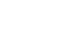Neplonflex - Dynamic Market Evaluation